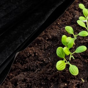 Agrotekstils pret nezālēm Springos AG0021 50g/m2 1