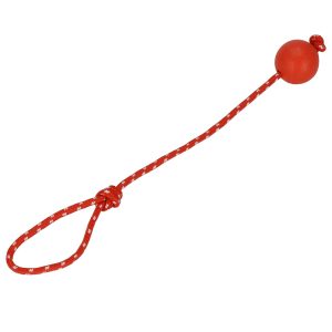 Aukla ar bumbu Springos PA1055