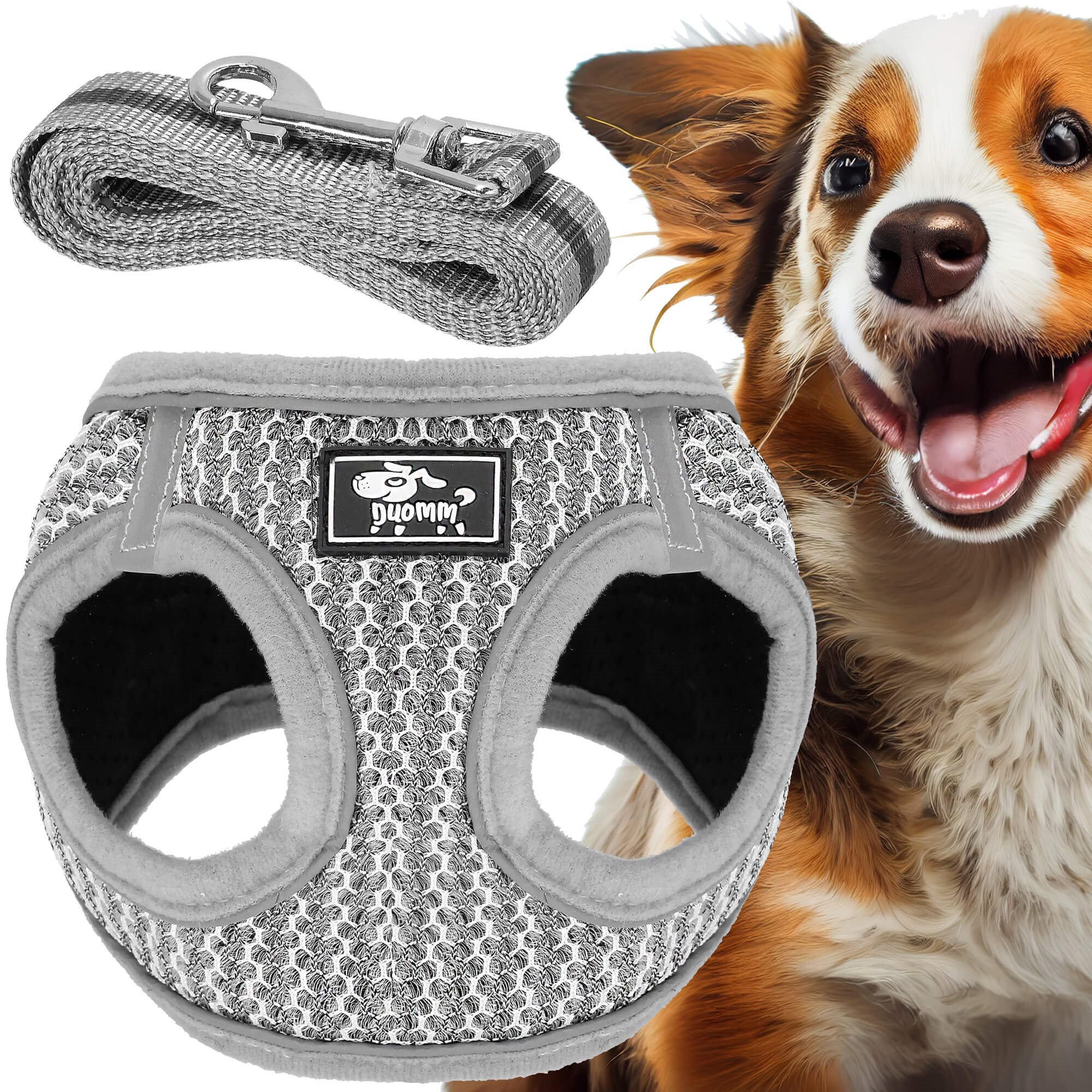 Bezpiediena suņu un kaķu siksnu komplekts Springos PA0235