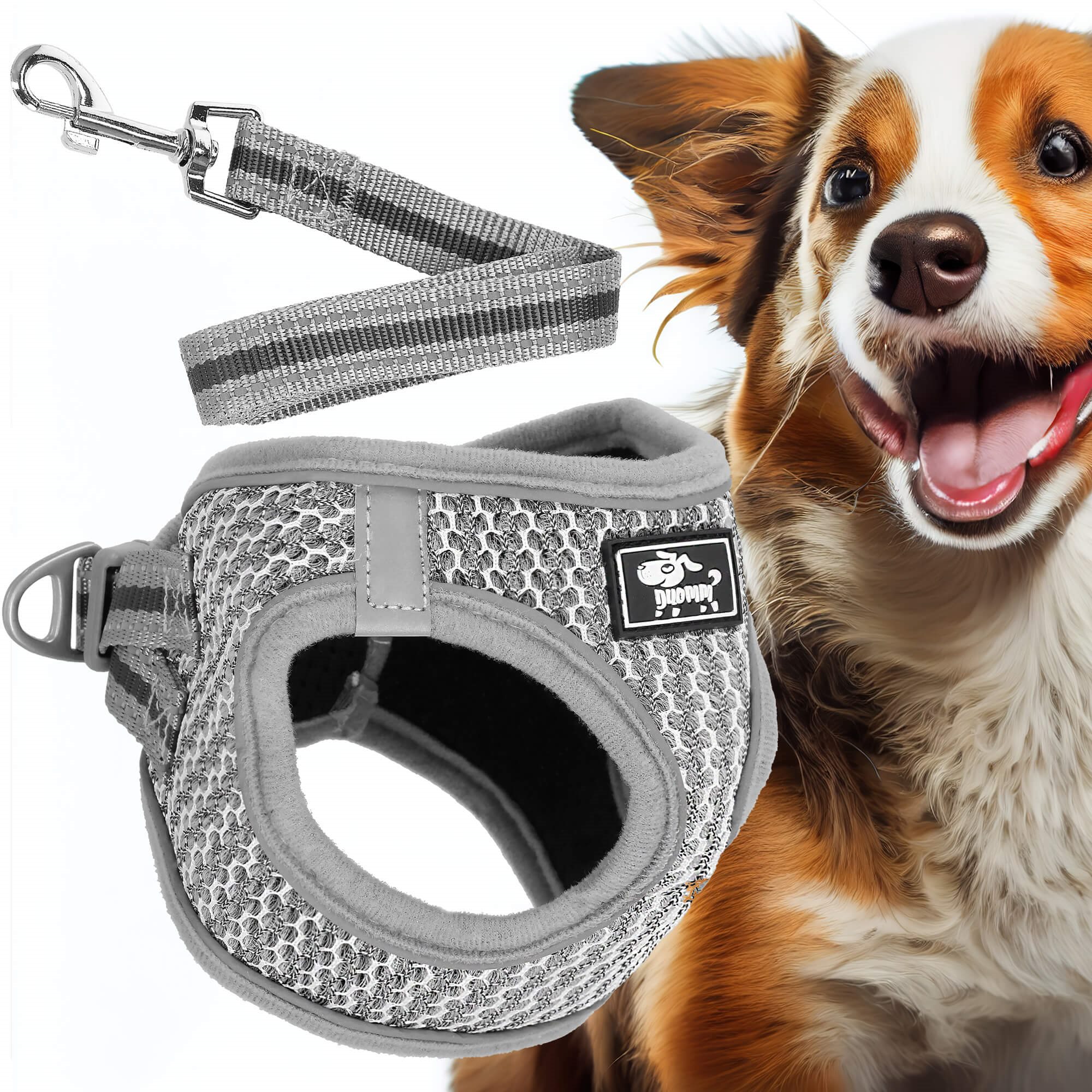 Bezpiediena suņu un kaķu siksnu komplekts Springos PA0238 Bezpiediena suņu un kaķu siksnu komplekts Springos PA0238