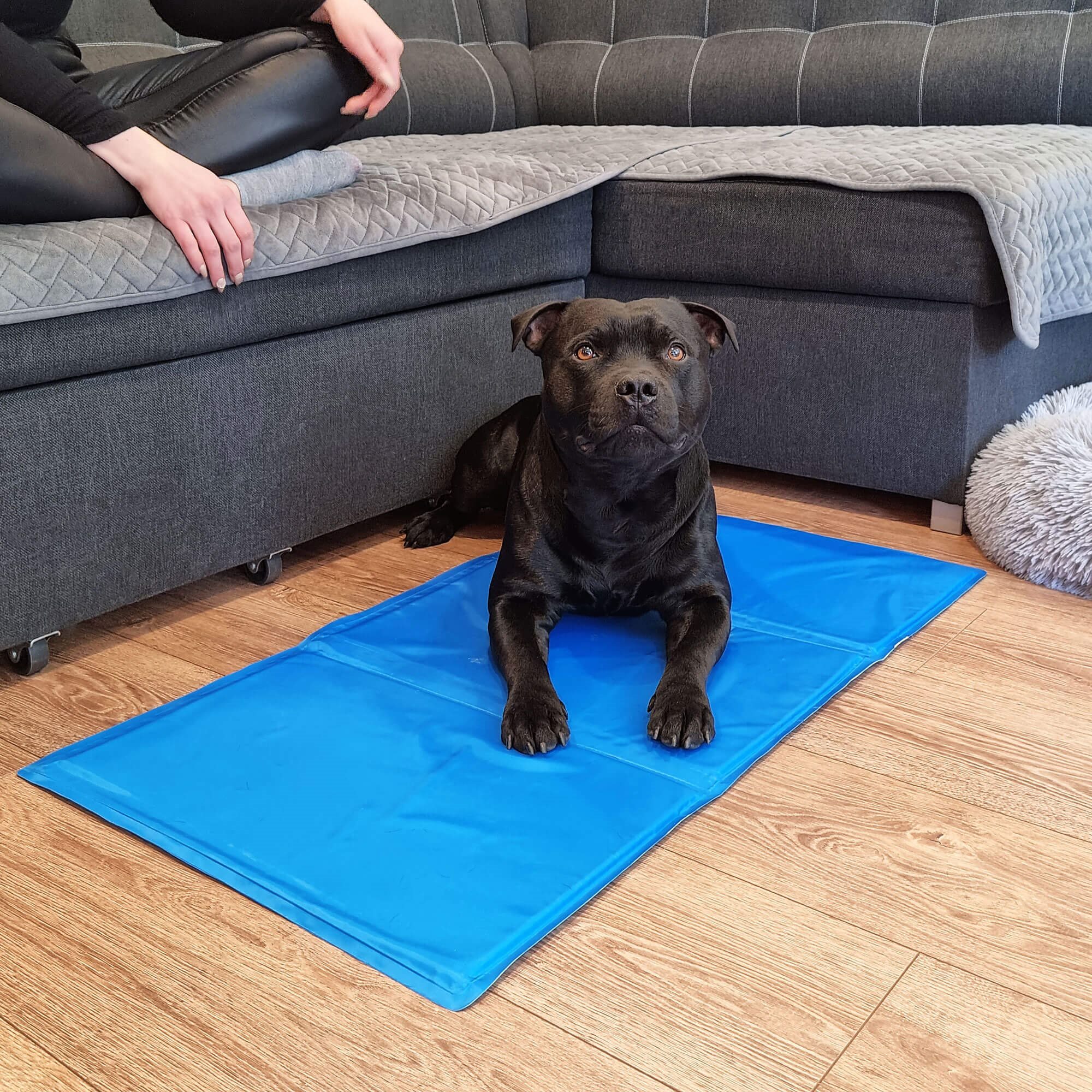 Dzesēšanas paklājiņš dzīvniekiem Springos PA2004 50x40 cm Dzesēšanas paklājiņš dzīvniekiem Springos PA2004 50x40 cm