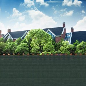 Ēnošanas tīkls Springos SN0046 140g/m2 1x50m zaļš