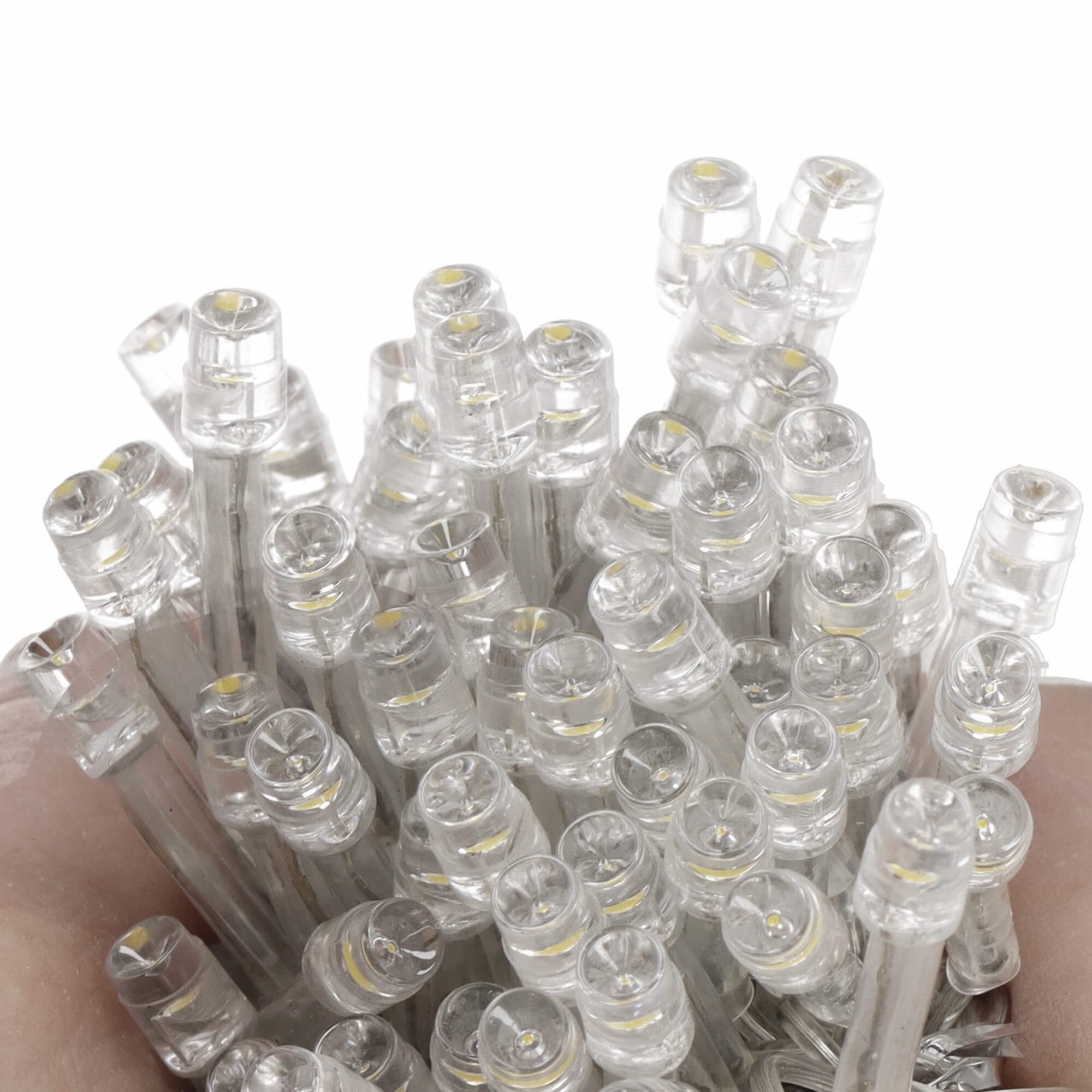 lāsteku lampiņas lāsteku lampiņas