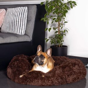 Kaķu gulta Springos PA0139 40 cm