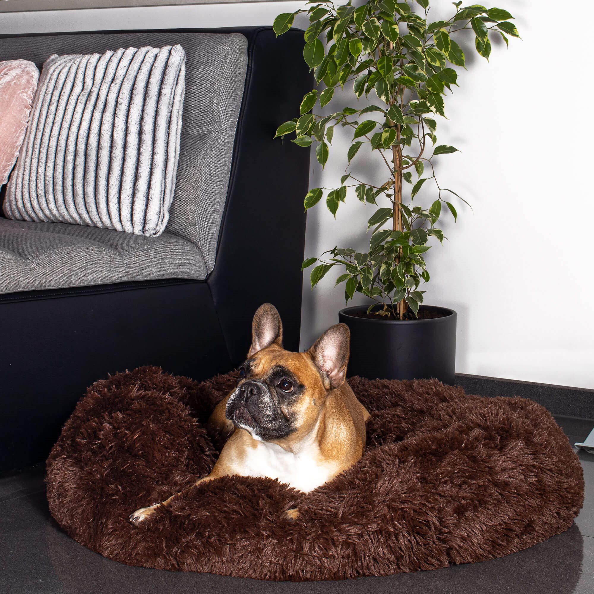 Kaķu gulta Springos PA0139 40 cm Kaķu gulta Springos PA0139 40 cm