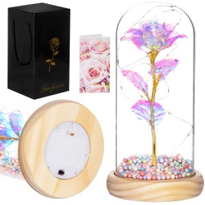 Mūžīgā roze stiklā Springos HA5159