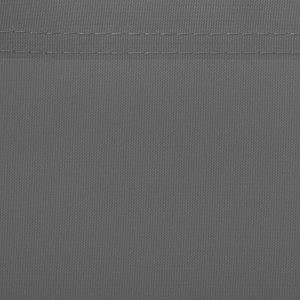 Sānu markīze Springos AW0002 300x160 cm grafīta krāsā