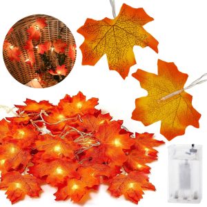 Springos gaismas dekorācija 20 LED lapas CL4064