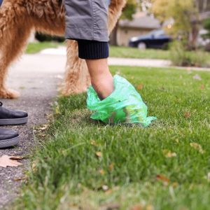 Suņu ekskrementu maisiņi Springos PA0255