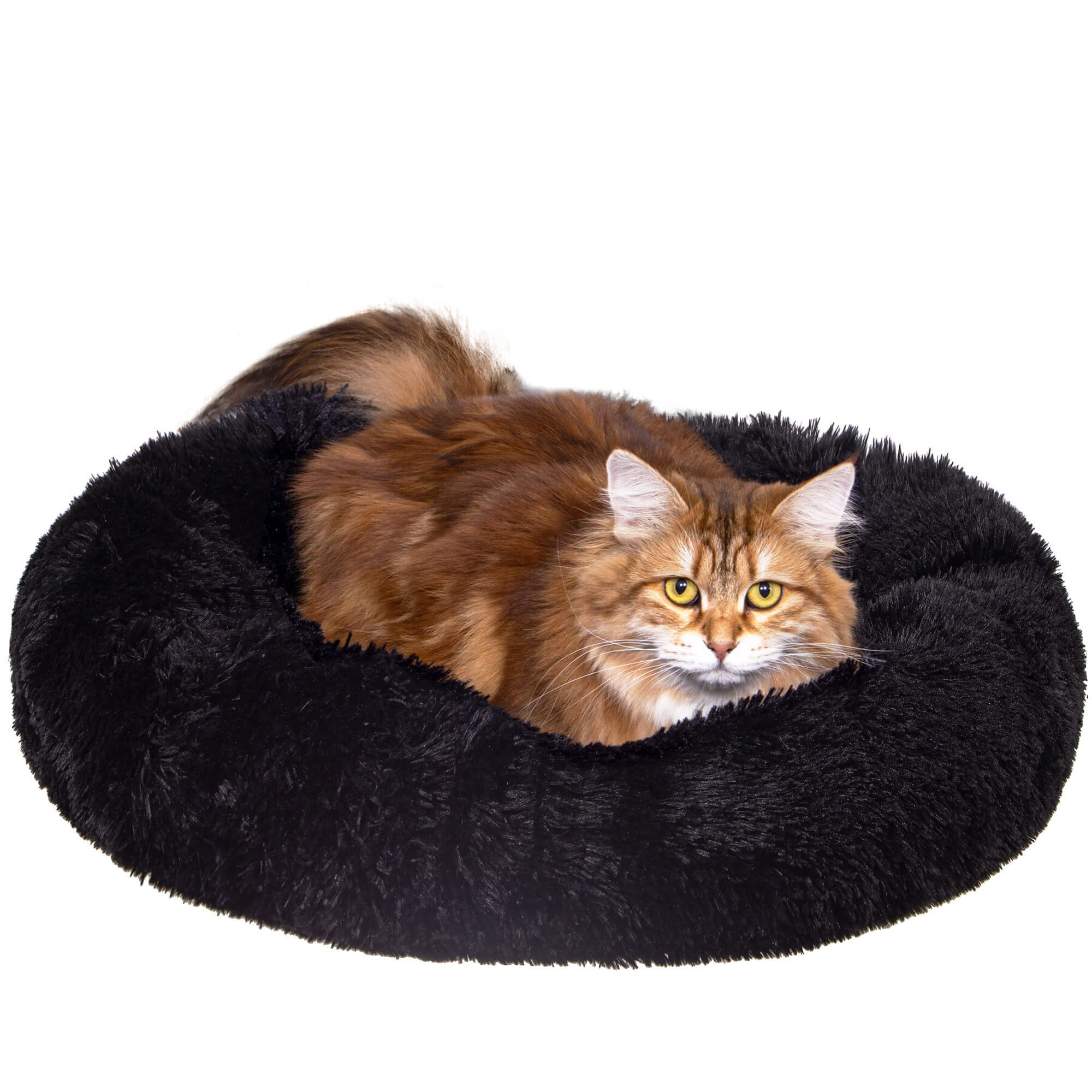 Suņu guļvieta Springos PA0161