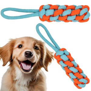 Suņu rotaļlieta Springos PA0283