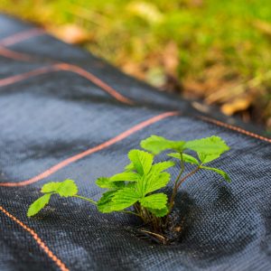 Agrotekstils pret nezālēm Springos AG0039 90g/m2 1
