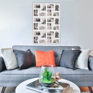 Foto rāmis Springos PF0001