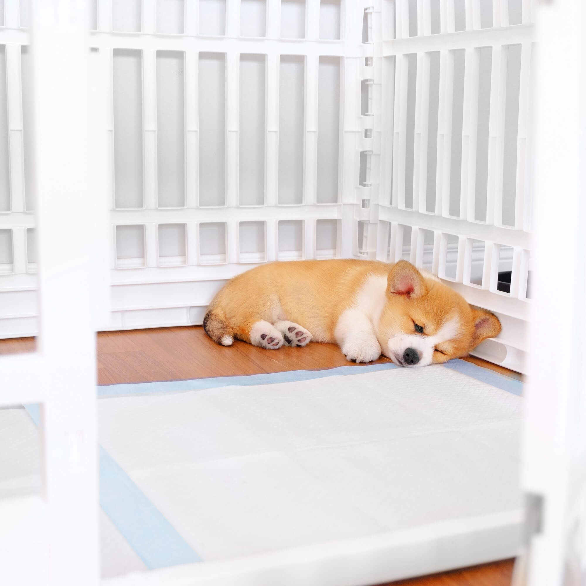 Higiēnas paliktņi Springos PA2011 35x45cm 50gab Higiēnas paliktņi Springos PA2011 35x45cm 50gab