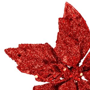 Poinsettia