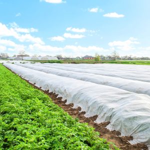 Ziemas agrotekstils Springos AG0006 17g/m2 50x1
