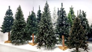 Ziemassvētku eglīte- dimanta priede Springos CT0077 180cm