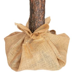 Ziemassvētku eglīte pe egle lux  Springos CT0128 220cm.