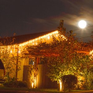 LED Ziemassvētku aizkars Springos CL0331 12m