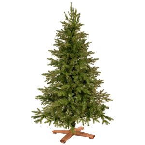PREMIUM Himālaju egle 150 CM