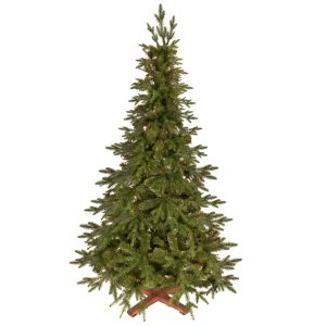 PREMIUM Himālaju egle 180 CM
