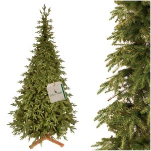 PREMIUM Himālaju egle 240 CM