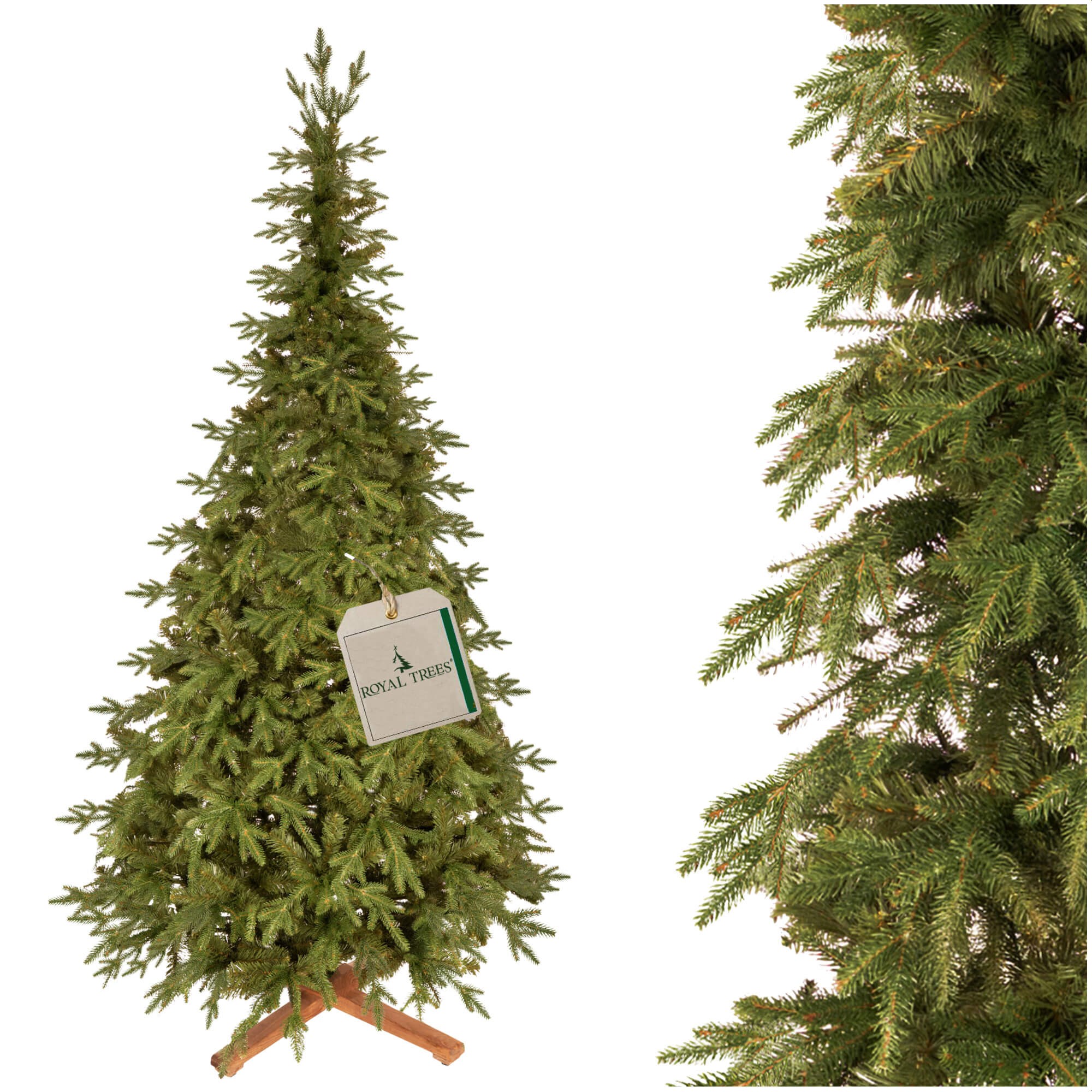 PREMIUM Himālaju egle 240 CM