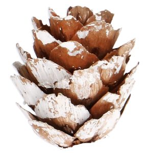 Ziemassvētku bumbiņas Springos CA0858