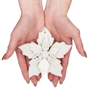 12 CM