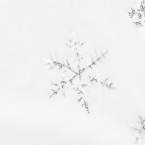 Ziemassvētku eglītes statīva vāks Springos CA1051