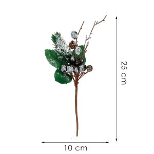25 cm