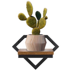 Plaukts 19x25.5x18.5 cm HF0050